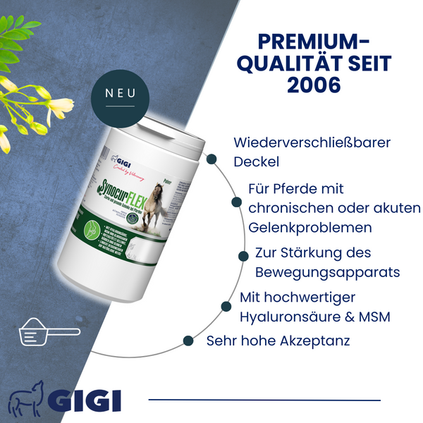 GIGI VET SynocurFLEX Starke Gelenke & Knochen für Pferde Mit Hyaluronsäure Lindert Arthrose & stärkt Mobilität
