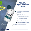 GIGI VET Synocur 1250 g Starke Gelenke & Knochen für Pferde Für gesunde Gelenke & starke Knochen