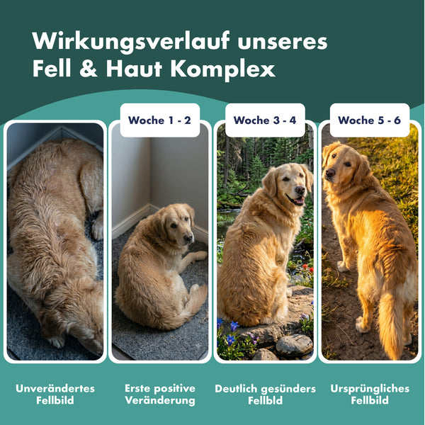 GIGI VET Haut & Fell PRO+ Mit Biotin Für Hunde und Katzen