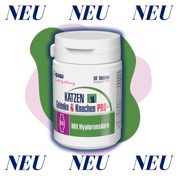 GIGI VET Katzen Gelenke & Knochen PRO+