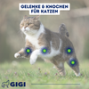 GIGI VET Katzen Gelenke & Knochen