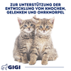 GIGI VET Katzenwelpen Wachstum & Entwicklung