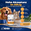 GIGI VET KREOPET Pankeas Pankreasenzyme Pankreatin Verdauungsenzyme