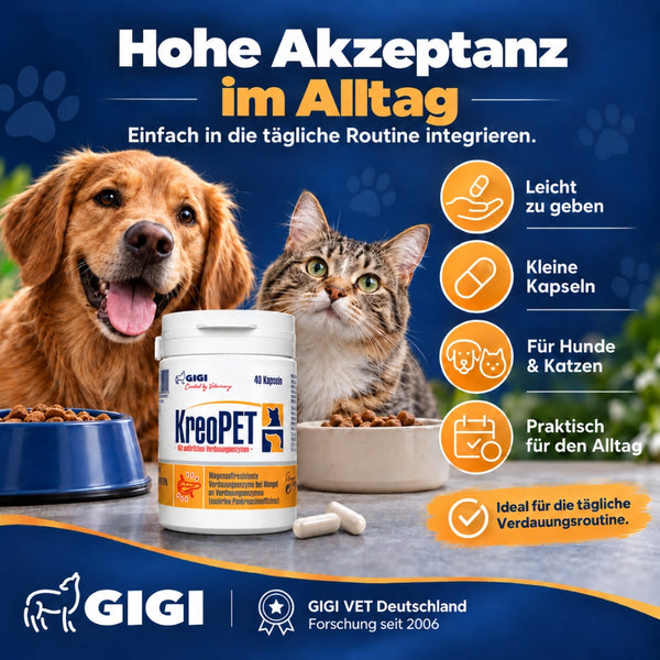 GIGI VET KREOPET Pankeas Pankreasenzyme Pankreatin Verdauungsenzyme