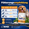 GIGI VET KREOPET Pankeas Pankreasenzyme Pankreatin Verdauungsenzyme