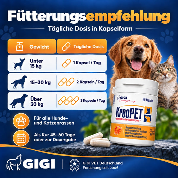 GIGI VET KREOPET Pankeas Pankreasenzyme Pankreatin Verdauungsenzyme