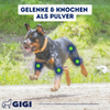 GIGI VET Gelenke Knochen Hunde Pulver Gegen Schmerzen