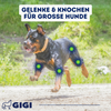GIGI VET Gelenke Knochen grosse Hunde