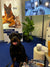 GIGI VET Hunde Gute Stimmung Messe Lettland