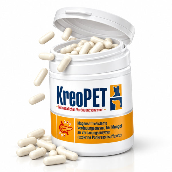 GIGI VET KREOPET Pankeas Pankreasenzyme Pankreatin Verdauungsenzyme