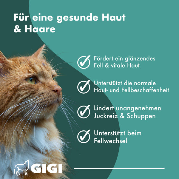 GIGI VET Haut & Fell PRO+ Mit Biotin Für Hunde und Katzen