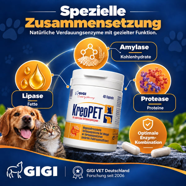 GIGI VET KREOPET Pankeas Pankreasenzyme Pankreatin Verdauungsenzyme